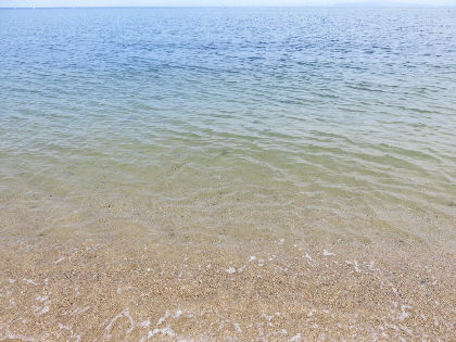 IMG_4919