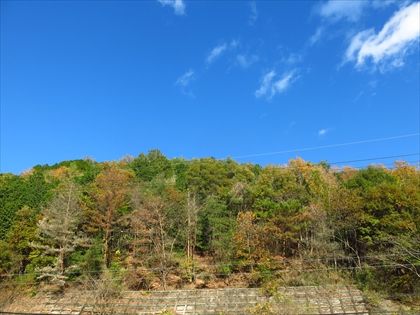 IMG_1744z