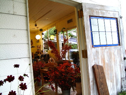 三田のおったん 兵庫県三田市 発信 Flower House Fbomh 三田市すずかけ台2 Livedoor Blog ブログ