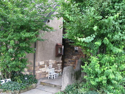 IMG_3081(1)
