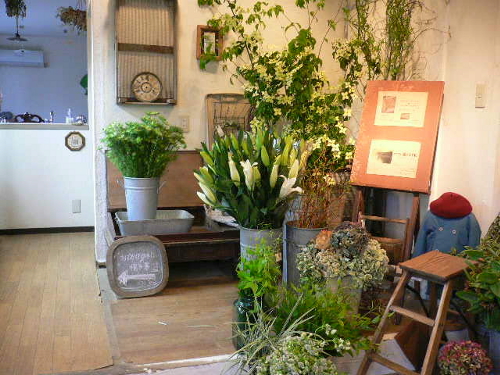 三田のおったん 兵庫県三田市 発信 Flower House Fbomh フラワーハウス フボー 三田市すずかけ台 Livedoor Blog ブログ