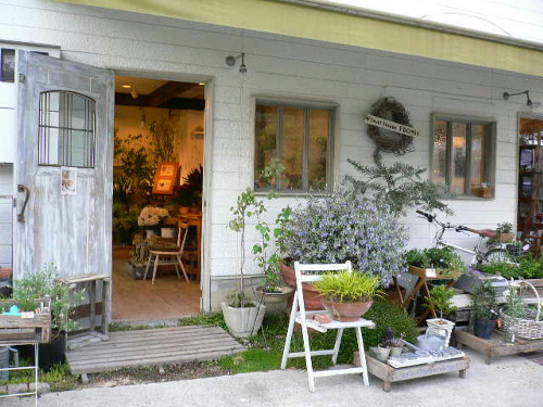 三田のおったん 兵庫県三田市 発信 Flower House Fbomh フラワーハウス フボー 三田市すずかけ台 Livedoor Blog ブログ