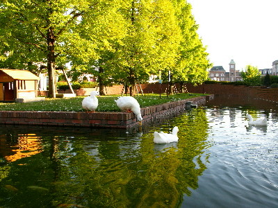 IMG_0061(1)