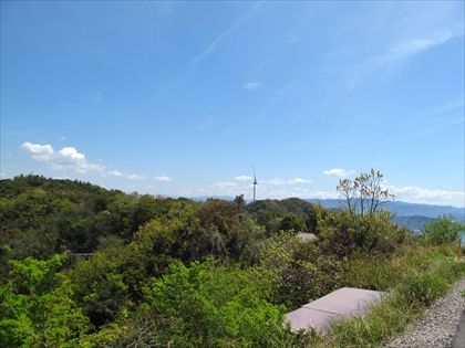 IMG_0505z
