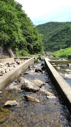 IMG_3618m