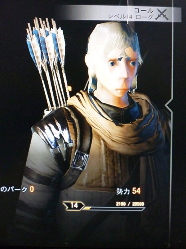 ドラゴンエイジ なんかコールの顔面が変な事になった Www ドラゴンエイジ インクイジション攻略まとめ魂 ドラゴンエイジ なんかコールの顔面が変な事になった Www ドラゴンエイジ インクイジション攻略まとめ魂