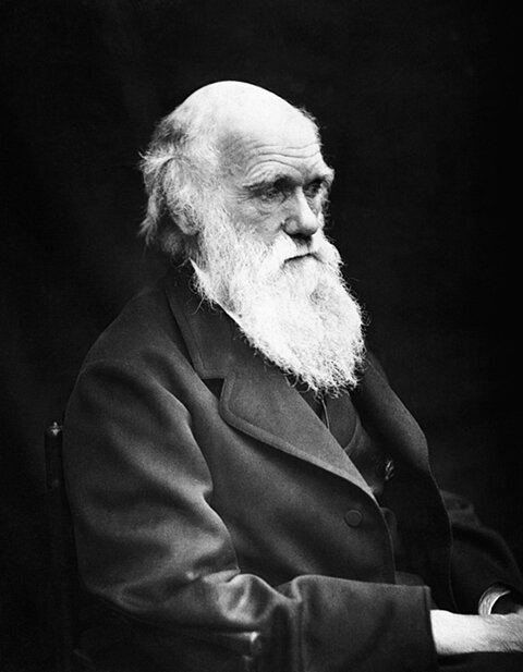 Charles_Darwin_01