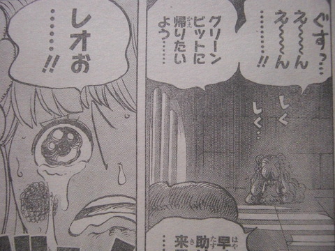 ワンピース 774話 マンシェリー姫