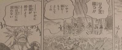 ONEPIECE792話 リク王