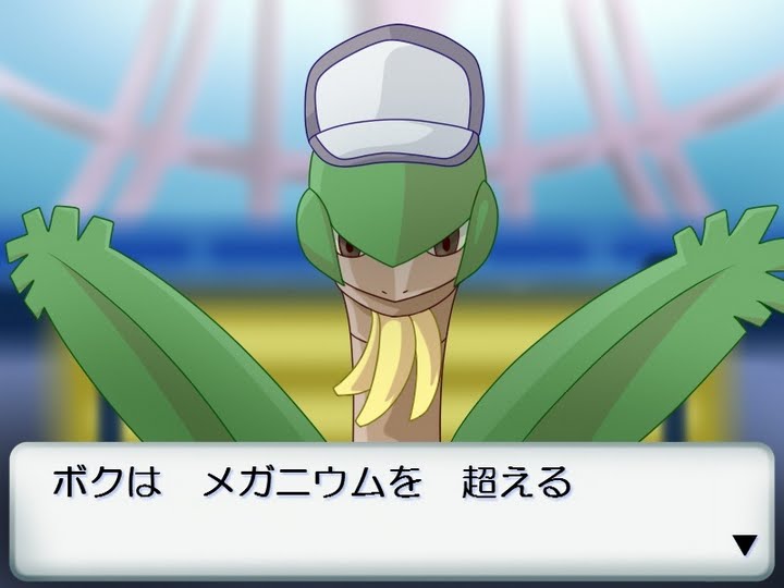 ポケモン速報 メガトロピウスきたあああああ 特性ははやてのつばさ ヲタニュー速報 ポケモン速報 メガトロピウスきたあああああ 特性ははやてのつばさ ヲタニュー速報