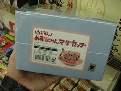 akiba20100421-5350[1]