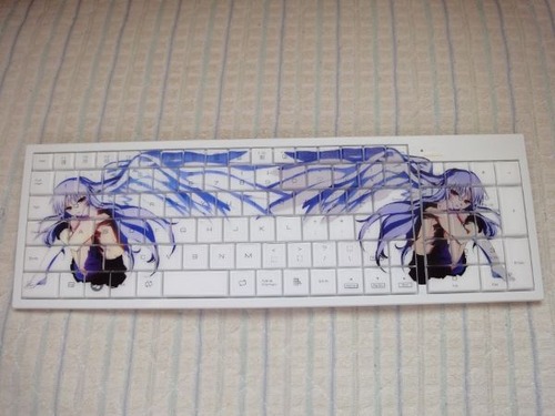 201007191618240001[1]