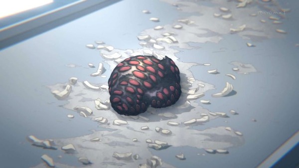 0lq9i0jw