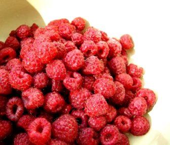 i0281345-1302310236[1]