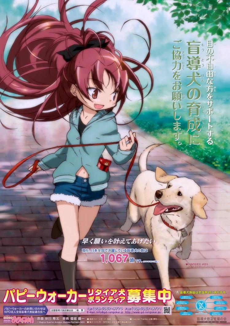盲導犬普及支援オリジナルポスターに まどか マギカ 佐倉杏子のイラストを起用 萌えオタニュース速報 盲導犬普及支援オリジナルポスターに まどか マギカ 佐倉杏子のイラストを起用 萌えオタニュース速報