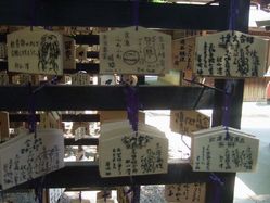 i0085788-1272803395[1]