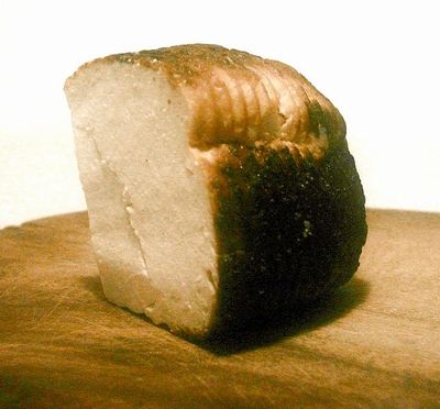 i0281335-1302309457[1]