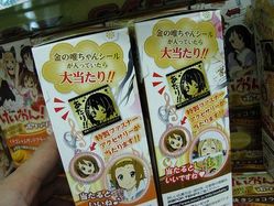 akiba20100421-5348[1]