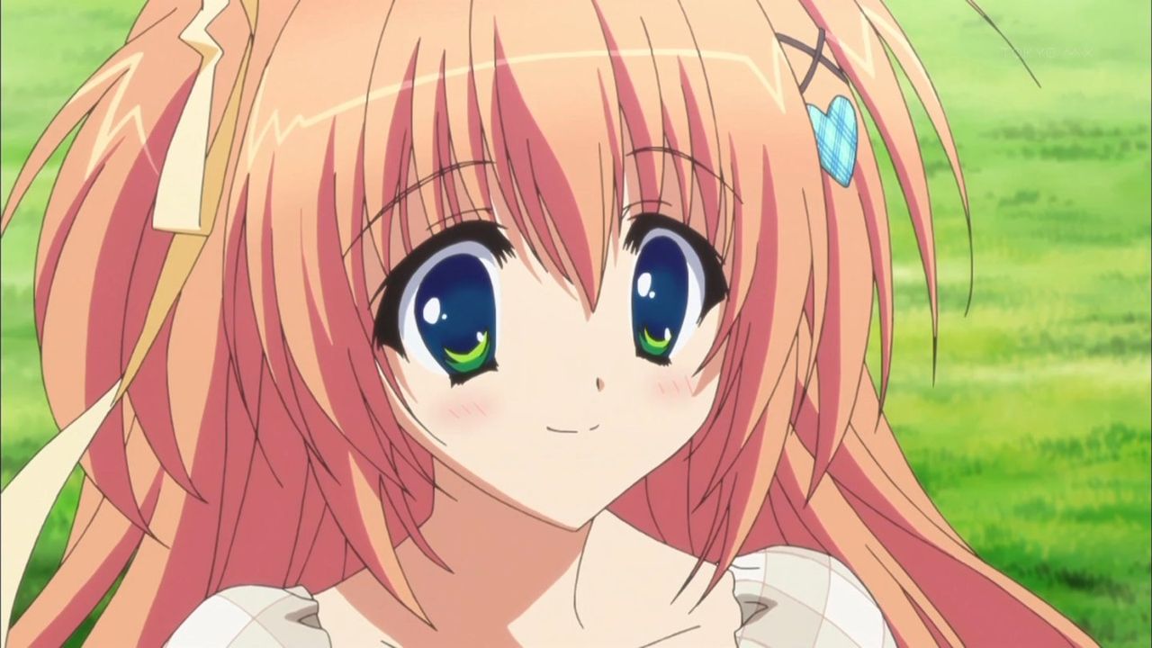 新アニメ 星空へ架かる橋 1話感想 弟可愛すぎでパンチラとか安心するテンプレ具合だったね 萌えオタニュース速報