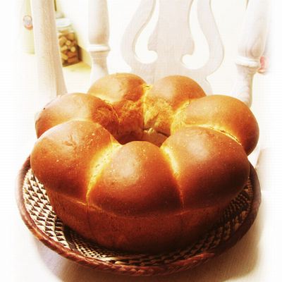 i0281337-1302309588[1]