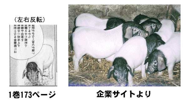 m[1]_s