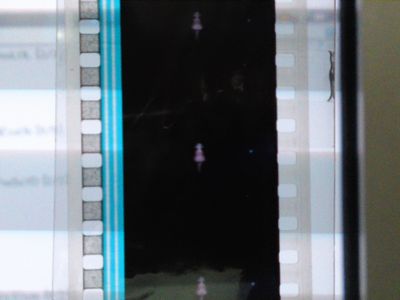 i0164754-1286428847[1]