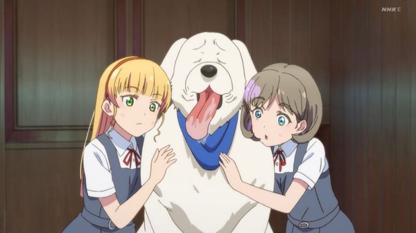 rdgzb3r2