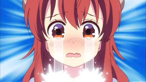3wx79hn6