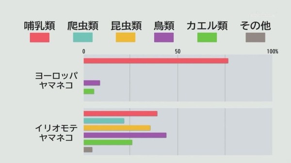 20260901_183228_seki_sh