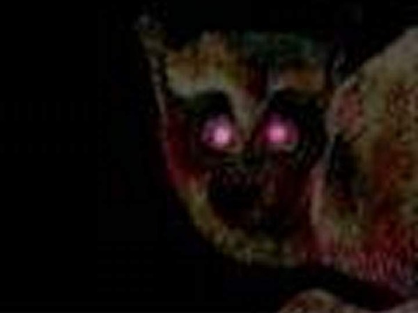 imagesCAK5G8N7_20101220231351[1]