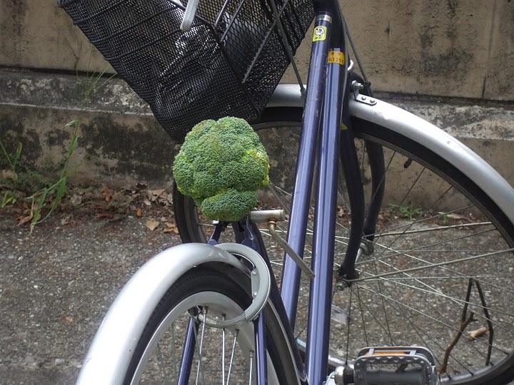 日常 ネタでもあった自転車のサドルがブロッコリーに変えられる事件が発生 萌えオタニュース速報