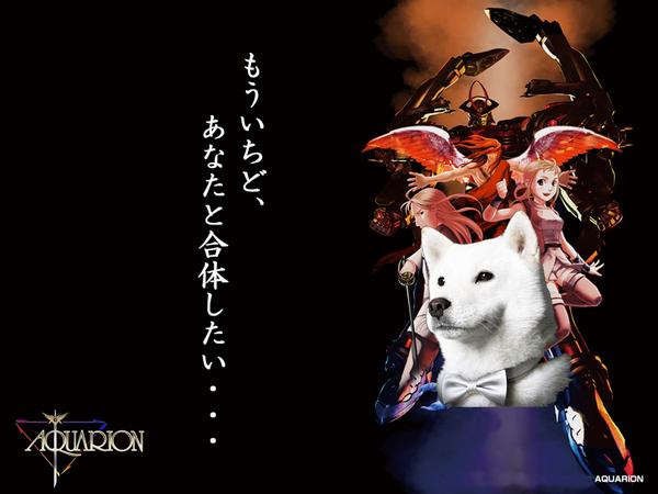 lib535691[1]