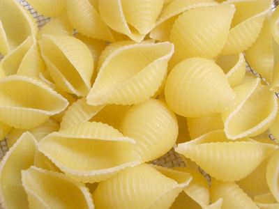 i0281340-1302309588[1]