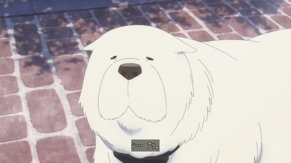 svwfvp8d