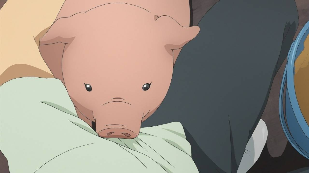 銀の匙 9話感想 痩せたタマコがこんなに美人だったなんて 萌えオタニュース速報