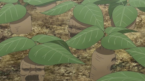 irr5goro