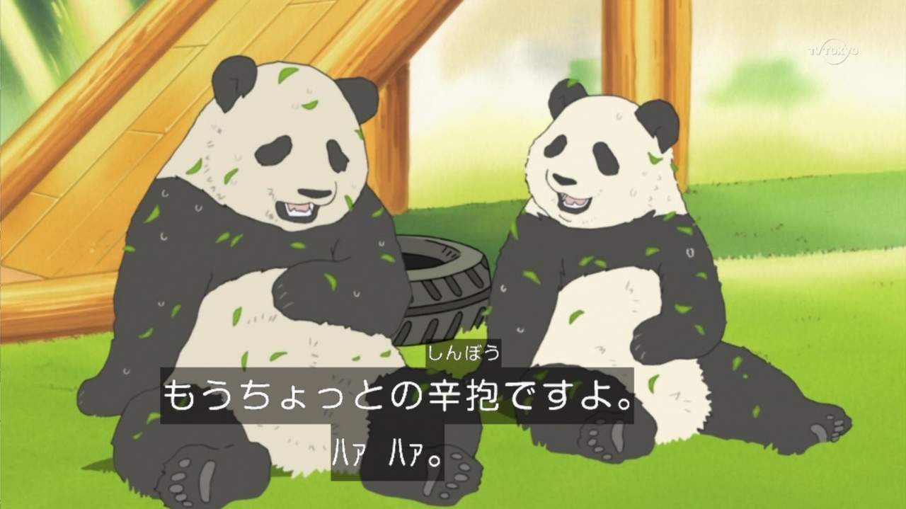 新アニメ しろくまカフェ 1話感想 ほのぼの系かと思いきやシュールでいいね 萌えオタニュース速報 新アニメ しろくまカフェ 1話感想 ほのぼの系かと思いきやシュールでいいね 萌えオタニュース速報