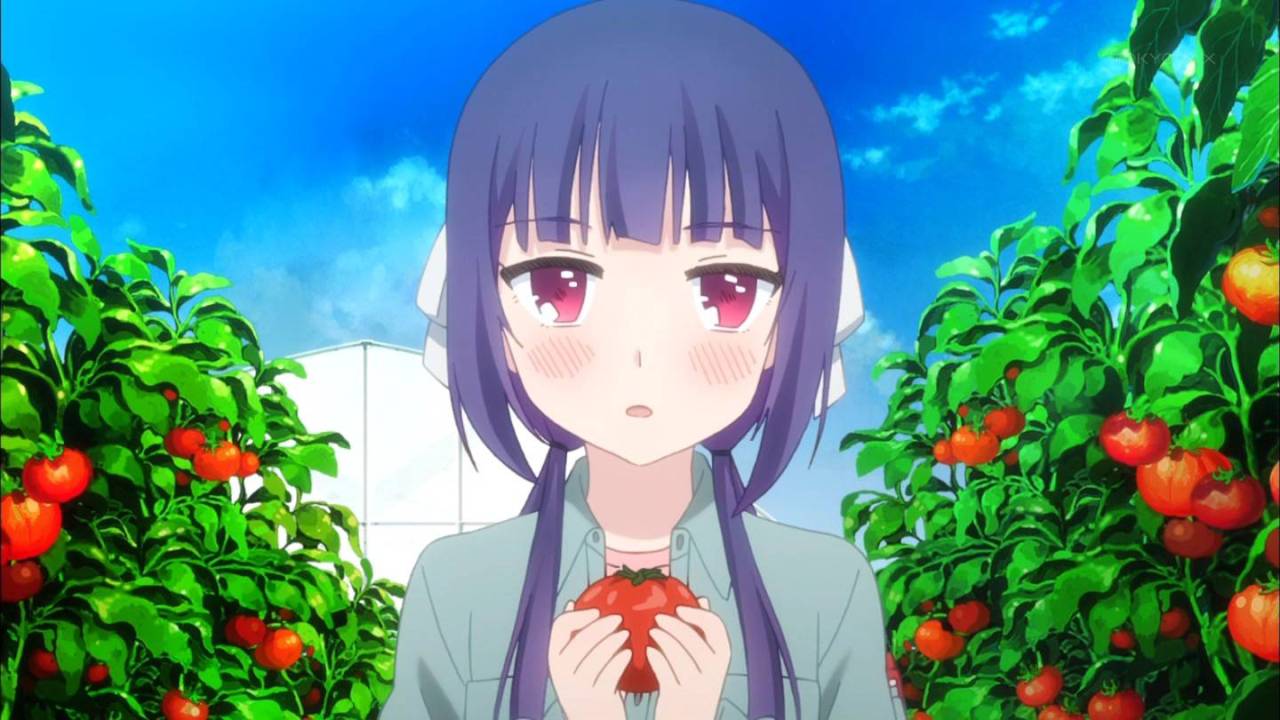 のうりん 7話感想 農業の厳しさを知ることができるお話 まさかのラストwww 萌えオタニュース速報 のうりん 7話感想 農業の厳しさを知ることができるお話 まさかのラストwww 萌えオタニュース速報