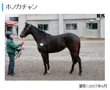 ラブライブ 競走馬にホノカチャンｗｗｗ 萌えオタニュース速報