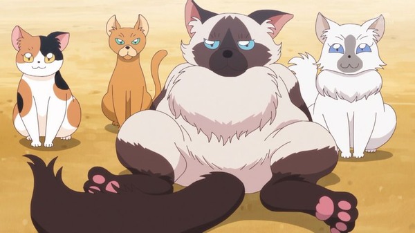 GYCaGRwb0AUYrYu