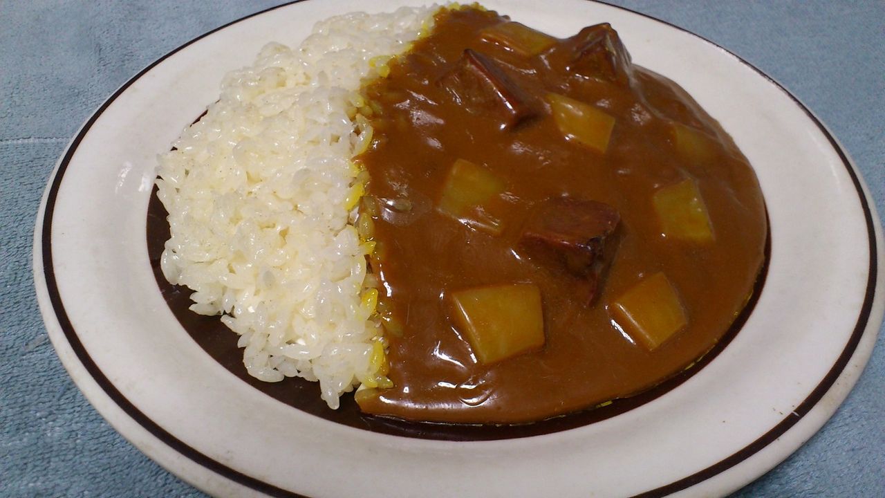 三十路オタクの世界 食品サンプルシリーズ カレーライス