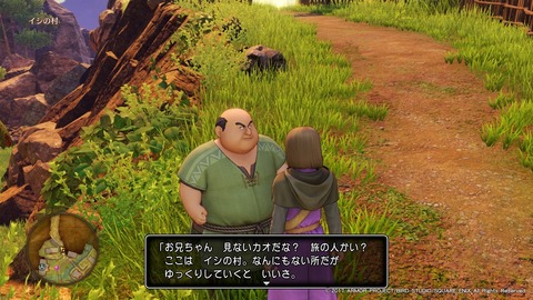 ドラゴンクエストXI 過ぎ去りし時を求めて_20170802192709