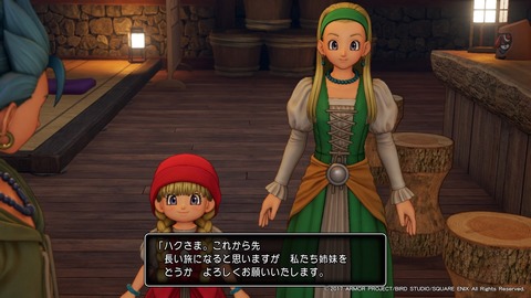 ドラゴンクエストXI 過ぎ去りし時を求めて_20170806181303