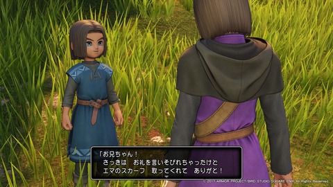 ドラゴンクエストXI 過ぎ去りし時を求めて_20170802194053