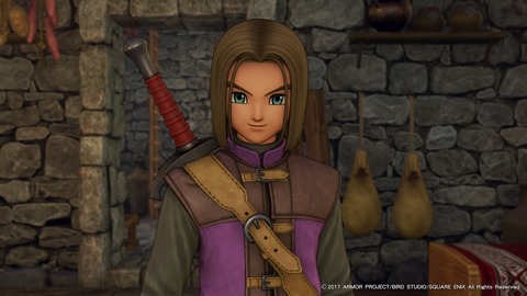 ドラゴンクエストXI 過ぎ去りし時を求めて_20170730125811