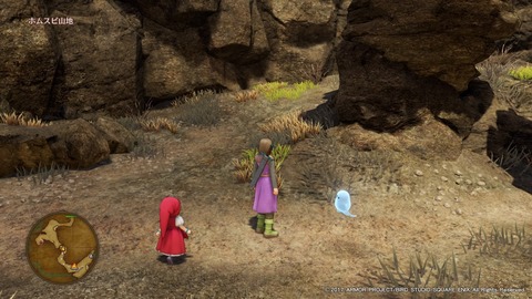 ドラゴンクエストXI 過ぎ去りし時を求めて_20170806160147