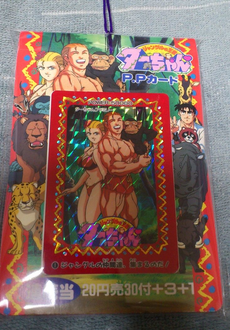 三十路オタクの世界 アマダ ジャングルの王者ターちゃん Ppカード