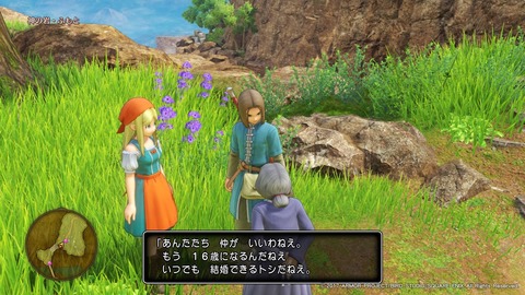 ドラゴンクエストXI 過ぎ去りし時を求めて_20170729190324