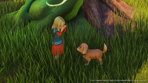 ドラゴンクエストXI 過ぎ去りし時を求めて_20170802193207