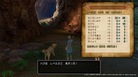 ドラゴンクエストXI　過ぎ去りし時を求めて_20170729191800